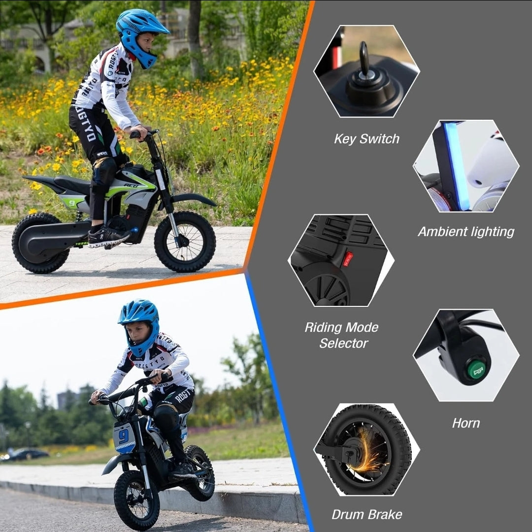RCB R9X PRO 36V/5.2Ah 5mph/7mph/15mph
