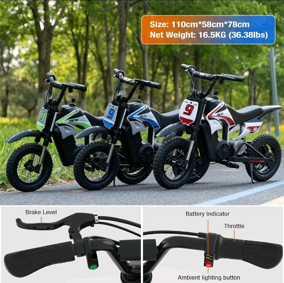 RCB R9X PRO 36V/5.2Ah 5mph/7mph/15mph