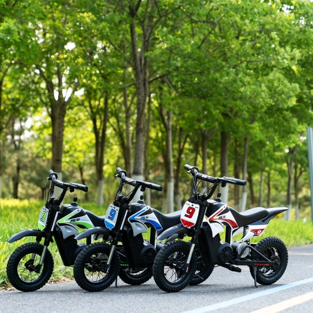 RCB R9X PRO 36V/5.2Ah 5mph/7mph/15mph