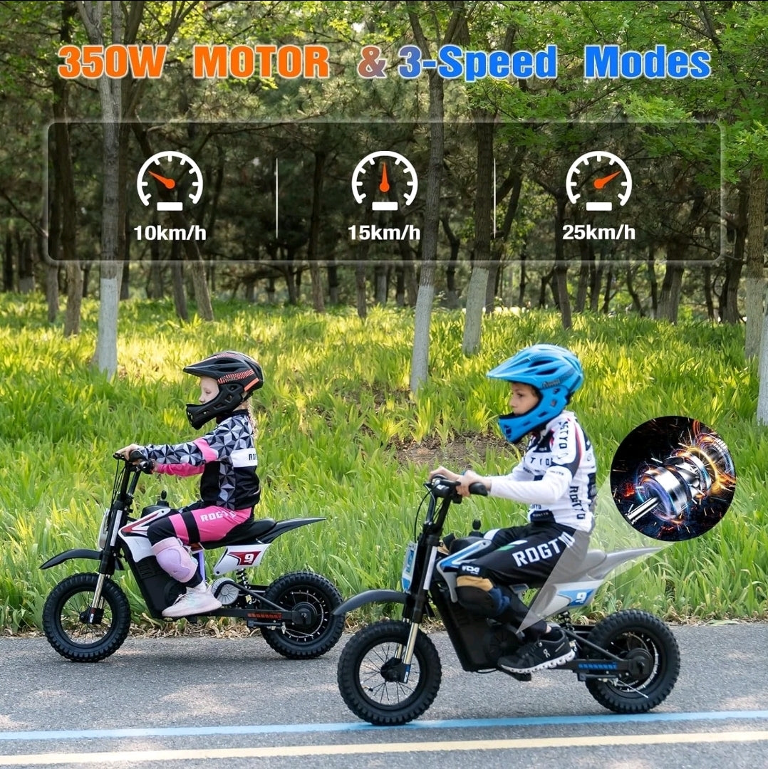 RCB R9X PRO 36V/5.2Ah 5mph/7mph/15mph
