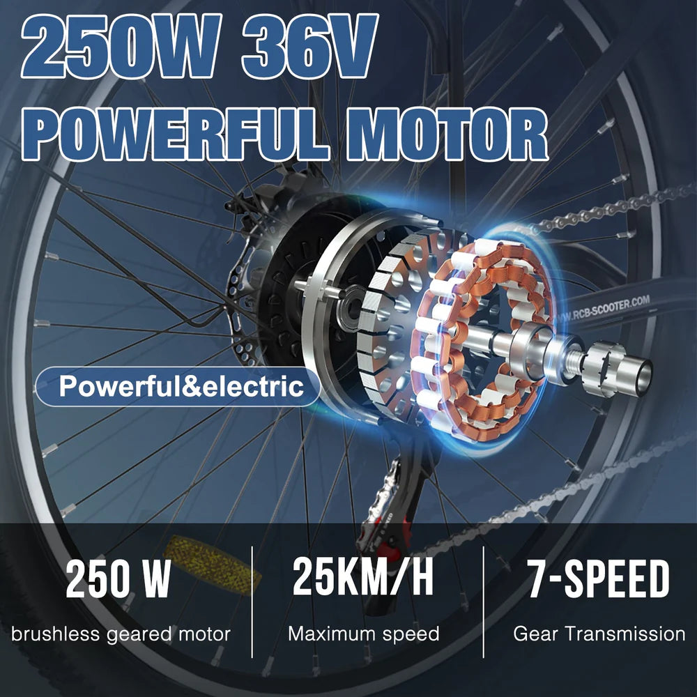 RCB RK8S 36V 10.4Ah 35-90KM 250W 7 SPEED £699.99!