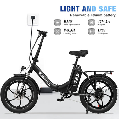 RCB RK6 Fat Tyre Folding Electric bicycle 15.6Ah 250W