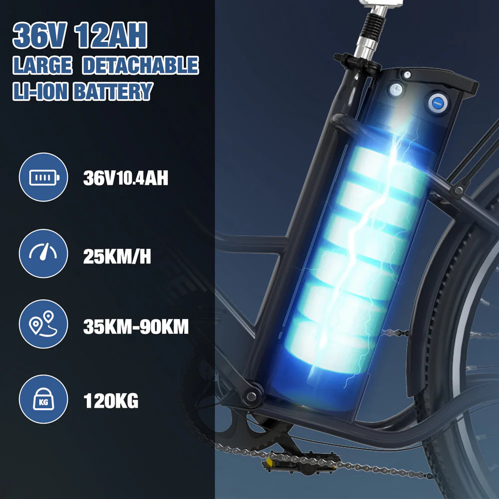 RCB RK8S 36V 10.4Ah 35-90KM 250W 7 SPEED £699.99!