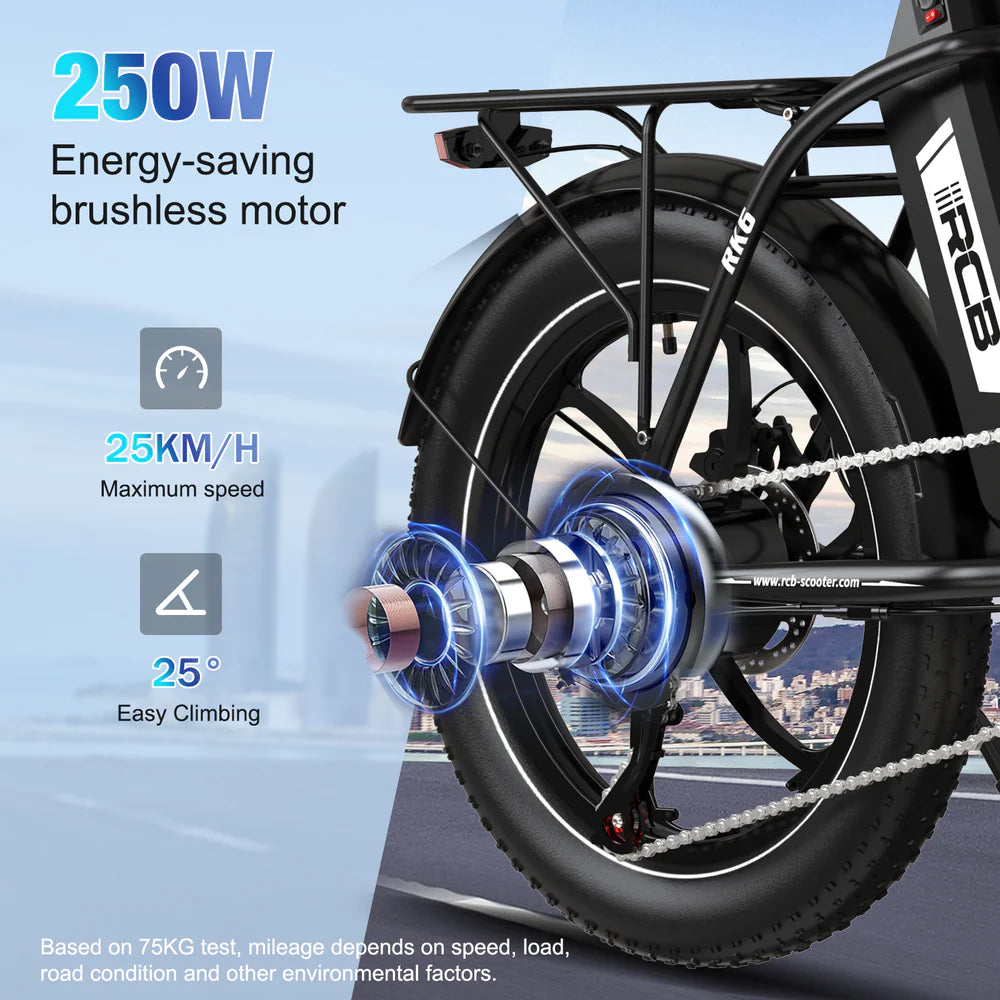 RCB RK6 Fat Tyre Folding Electric bicycle 15.6Ah 250W