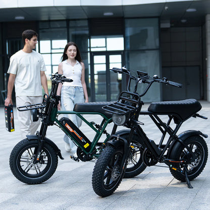 RCB G19 MINI Electric bicycle 36V 13Ah 70 Km Range