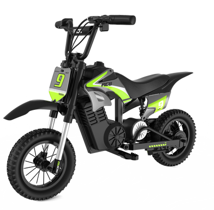 RCB R9X PRO 36V/5.2Ah 5mph/7mph/15mph