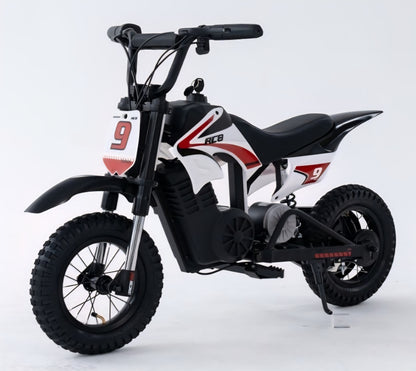 RCB R9X PRO 36V/5.2Ah 5mph/7mph/15mph