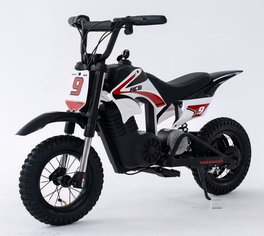 RCB R9X PRO 36V/5.2Ah 5mph/7mph/15mph