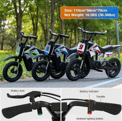 RCB R9X PRO 36V/5.2Ah 5mph/7mph/15mph