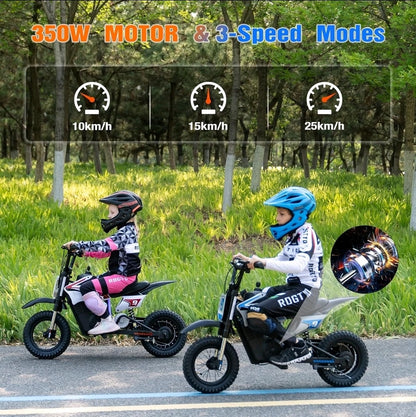 RCB R9X PRO 36V/5.2Ah 5mph/7mph/15mph
